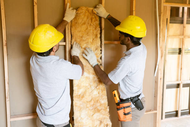 Best Wall Insulation Contractor  in Mount Pleasant, WI